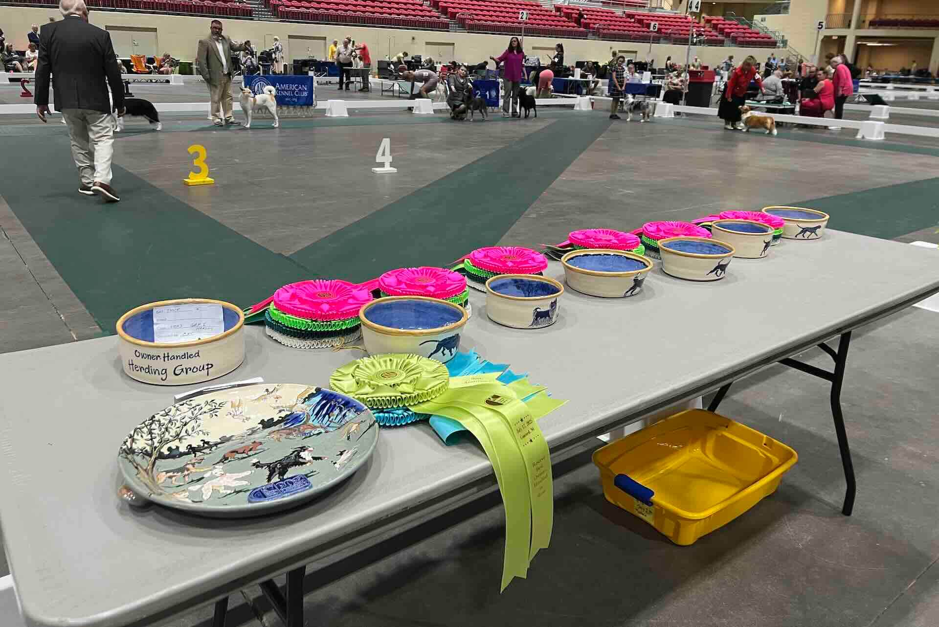 Dog show awards and ribbons displayed on table.